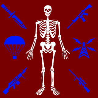 ParaIIelepiped's emblem