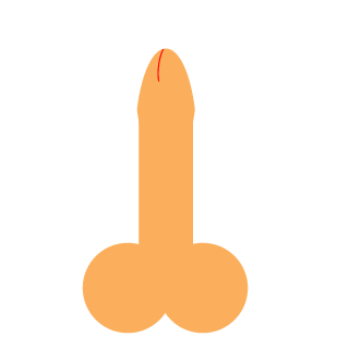 1351888386's emblem