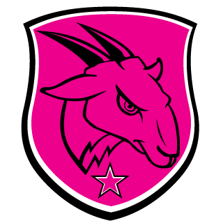 DisneyVader's emblem