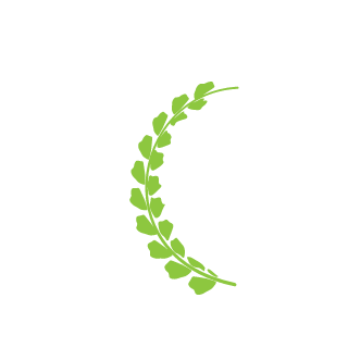 shamshieL_8015's emblem
