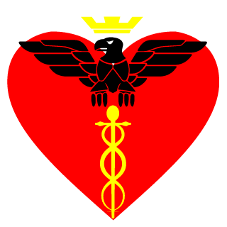 Sp00ky0815's emblem