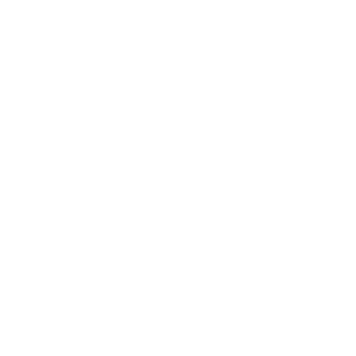 ZENIS75's emblem