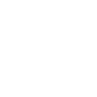 hashtagnoskills's emblem