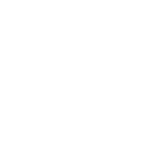 220B's emblem