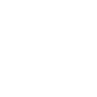 ReinaldoGaming01's emblem