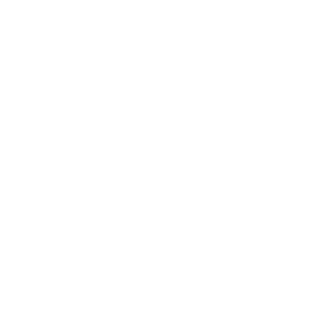 Fox13Dark's emblem