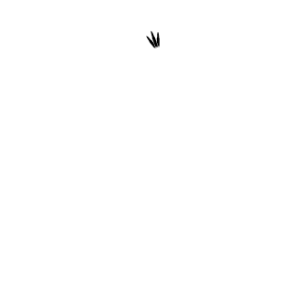 LesnyTroll's emblem