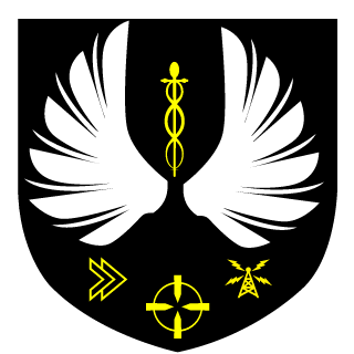 LinkinnBR's emblem