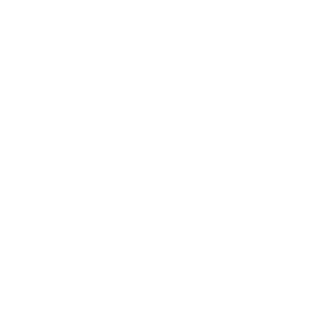 mortimer_FR's emblem
