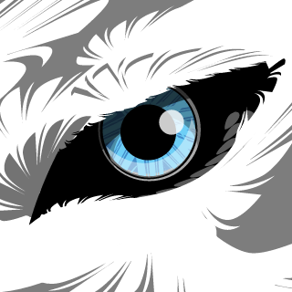 Black Dragon008's emblem