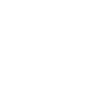 DarkDreamsStudio's emblem