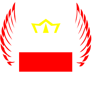 OSkr1LL0's emblem