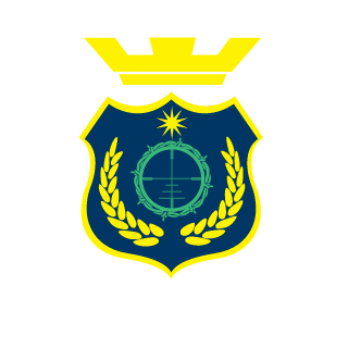 ShaoIinFantastic's emblem