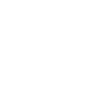 3Prototypee's emblem