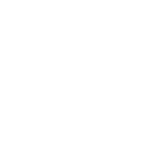 Diema1988's emblem