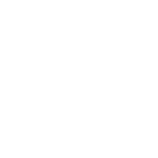 DENTrite's emblem