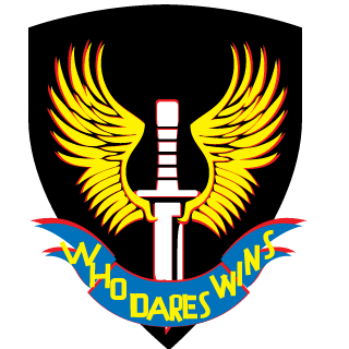 brickysalmon's emblem