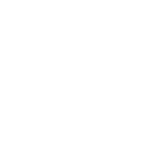 Seho1984's emblem