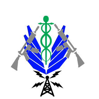 24e5f425943209fe's emblem