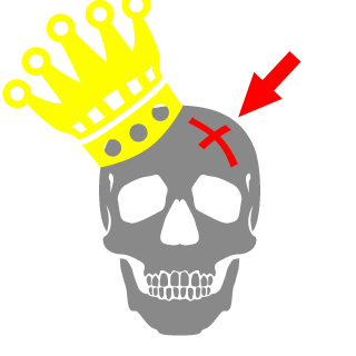 Sularus_TR's emblem