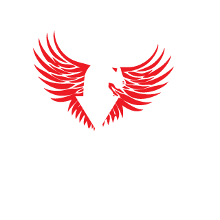 NetsSI's emblem