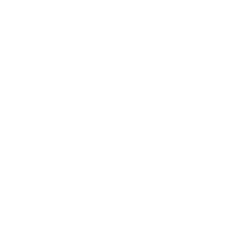 141-Specter's emblem