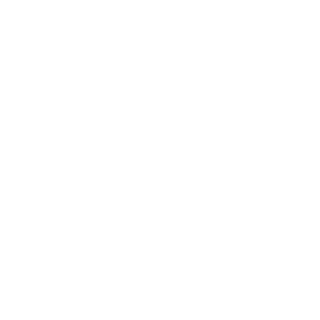 Dudes_147's emblem