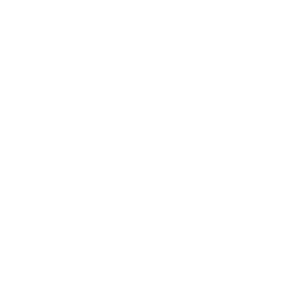 ODE_Devs's emblem