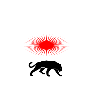 LaZoubidaPGM's emblem