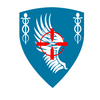-Fr0z3n-1337's emblem
