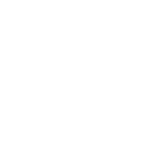 biccaameral's emblem