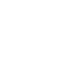 Ey-Nayp's emblem