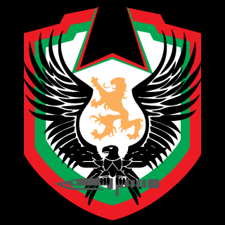 BlackPhoenixBG's emblem