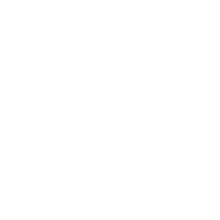 PatrixPL69's emblem