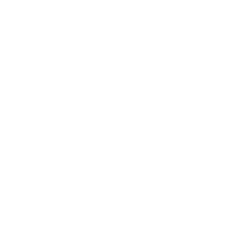 ViniScout0's emblem