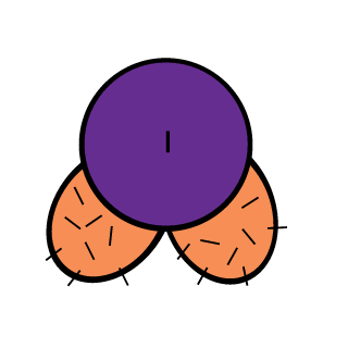 carlgod's emblem
