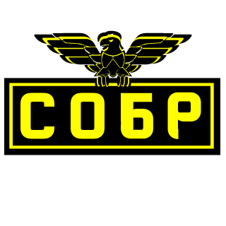 Snegovi4ok160999's emblem