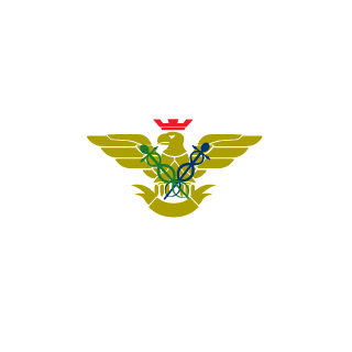 Mistlow0203's emblem