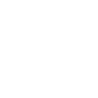 choripunk456's emblem
