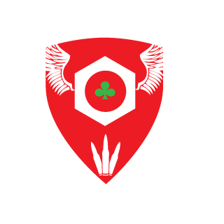 1nasti1's emblem