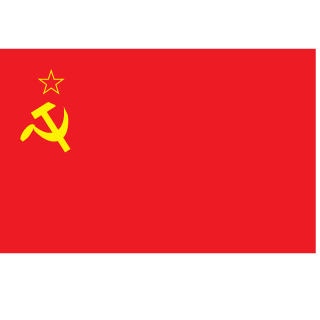 RoyGao66's emblem