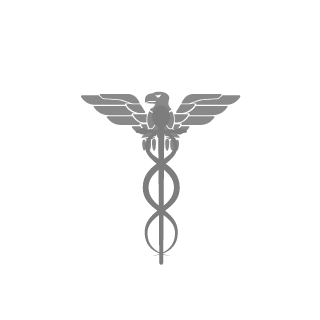 Hemahammad2002's emblem