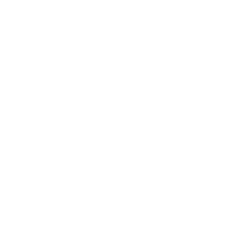 The_MRTGS's emblem