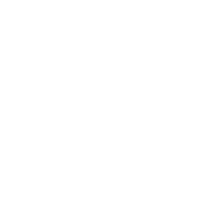 VRIL-CLINTON's emblem