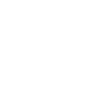 ISILVA41's emblem