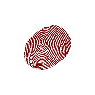 Hexo_Tudou's emblem