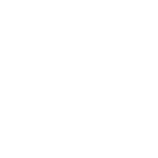 HoIIacaustic's emblem
