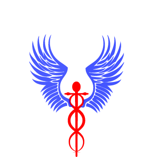 d1s_Sp4rr0w's emblem