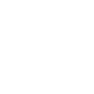 hansbismark's emblem