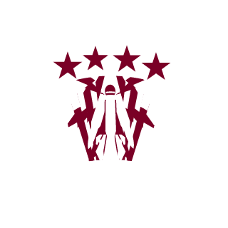 d7vani's emblem